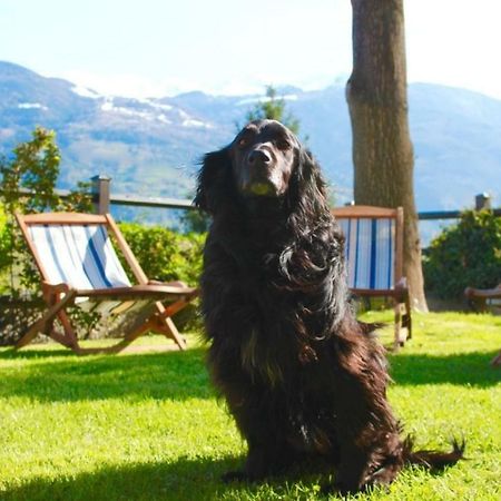 Bed & Breakfast Chez Berry Aosta Buitenkant foto