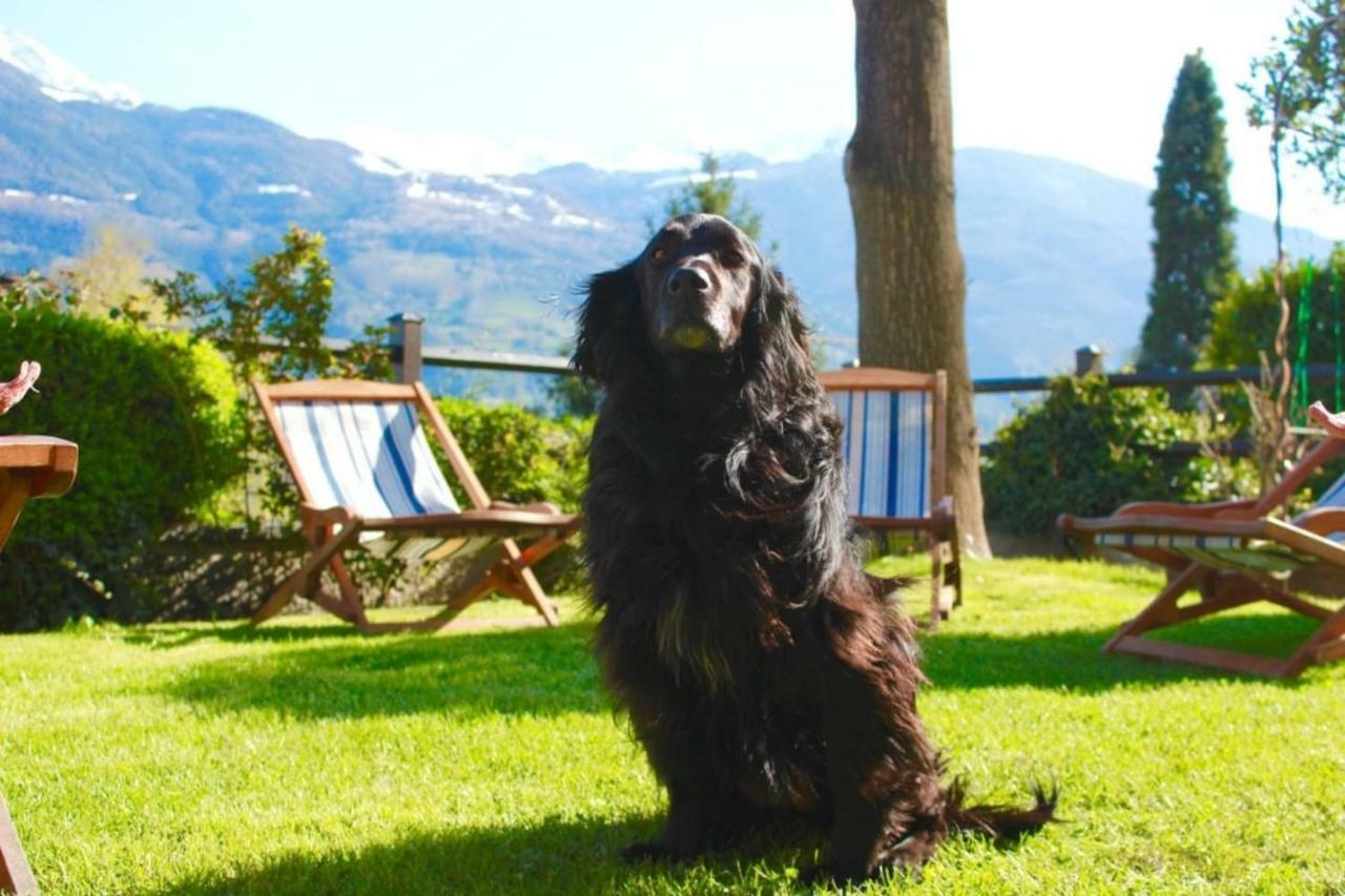 Bed & Breakfast Chez Berry Aosta Buitenkant foto
